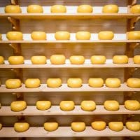 La fontina : un fromage savoureux aux racines alpines
