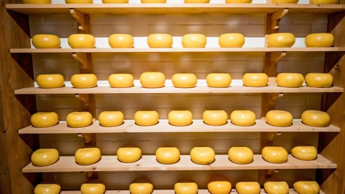 La fontina : un fromage savoureux aux racines alpines