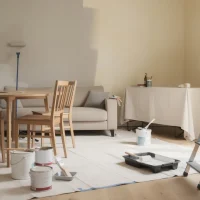 Peindre salon et salle à manger : idées et méthode