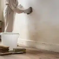Comment enlever le salpêtre d&rsquo;un mur durablement